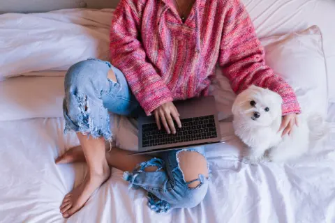 Plano De Saúde Pet Para Empresas A Nova Tendência Em Benefícios